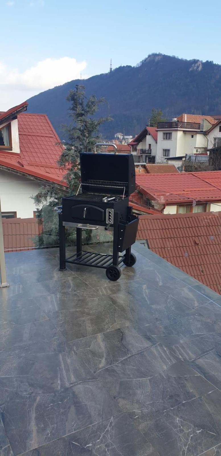 Roca House Villa Brasov Exterior photo